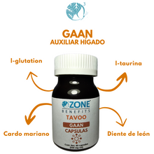 Cargar imagen en el visor de la galería, TAVOO - CAPSULAS GAAN HIGADO - 60 capsulas (500 mg)