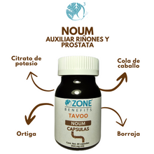 Cargar imagen en el visor de la galería, TAVOO - CAPSULAS NOUM RIÑONES Y PROSTATA - 60 capsulas (533 mg)