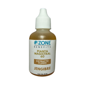PIANTA MAGISTRAL - Tintura madre de jengibre al 60% - 30 ml (Gotero de plastico)