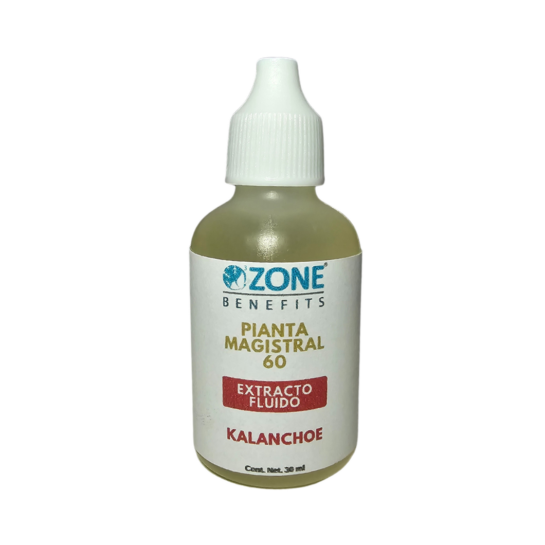 PIANTA MAGISTRAL - Tintura madre de kalanchoe al 60% - 30 ml (Gotero de plastico)
